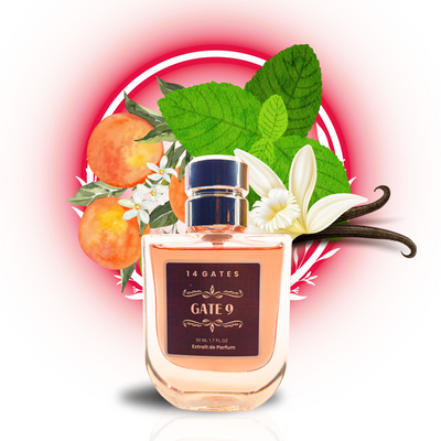 Gate 9 | Impression Of Jean Paul Guiltier Le Male